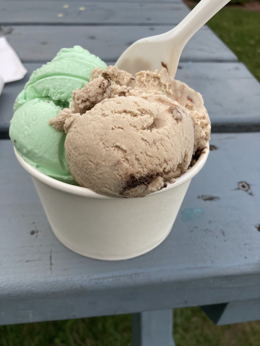 Holy Cows Ice Cream Photos 2